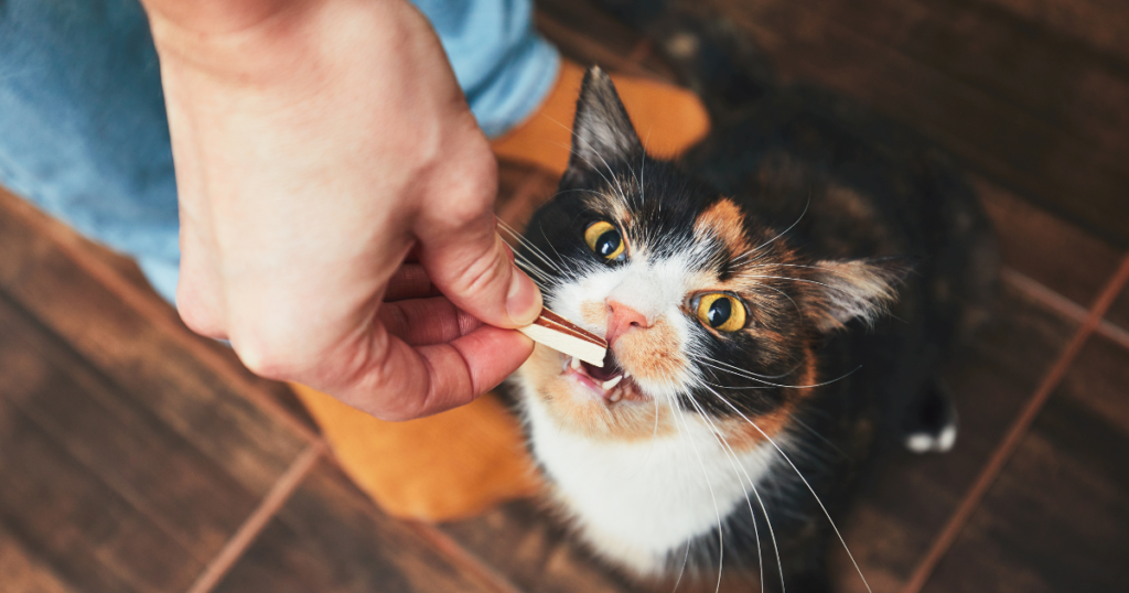 Petisco saudável de atum para gato